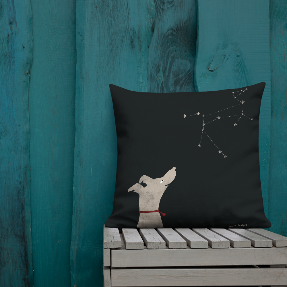 all-over-print-premium-pillow-22x22-back-lifestyle-1-610422bbf1248.png