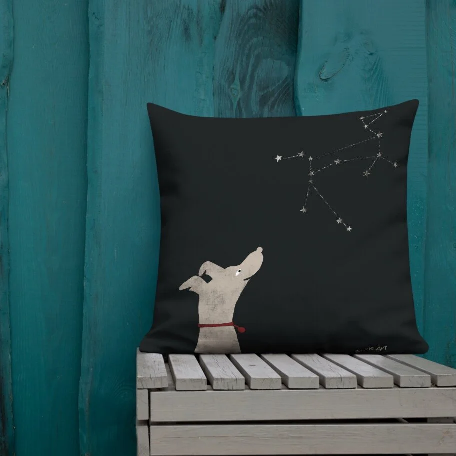 all-over-print-premium-pillow-22x22-back-lifestyle-1-610422bbf1248.jpg