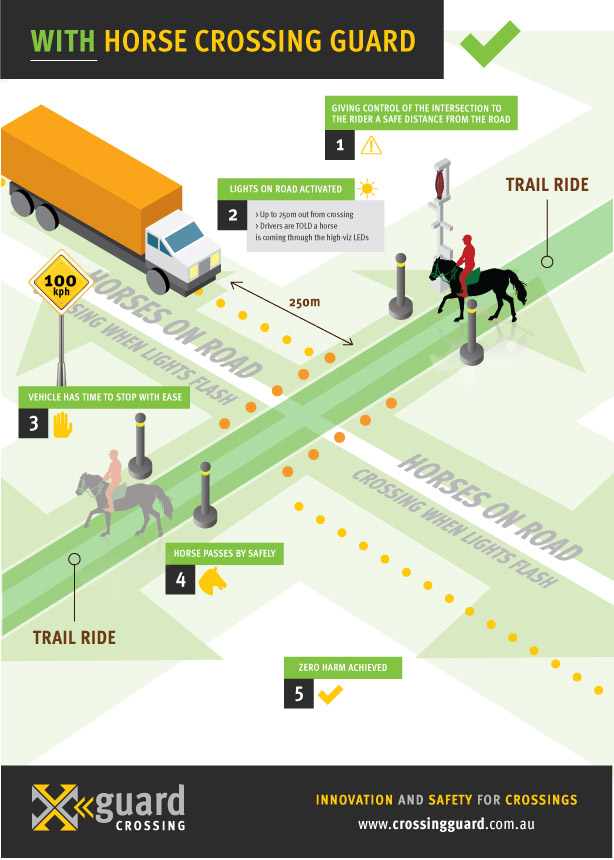 Xguard Infographic-horse-web-02.jpg