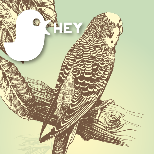 How To Build Your Brand on Twitter