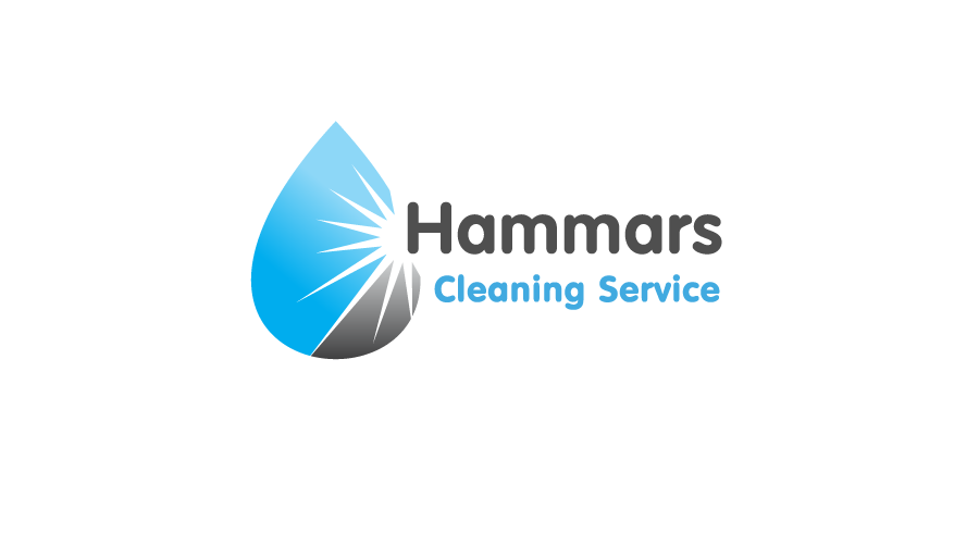  Hammars Cleaning&nbsp;Logo / Brand Design 