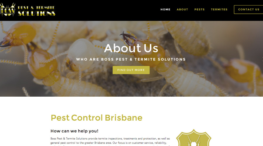 Boss Pest & Termite Solutions