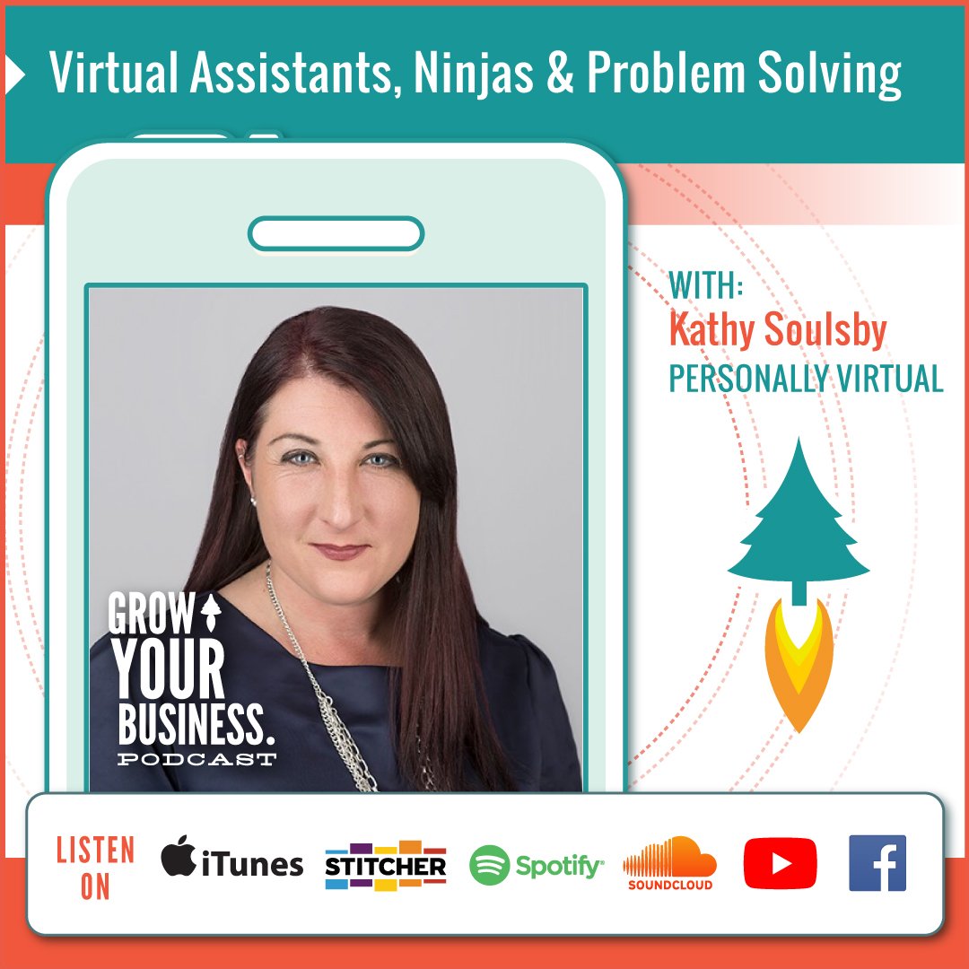 Virtual Assistants, Ninjas & Problem Solving