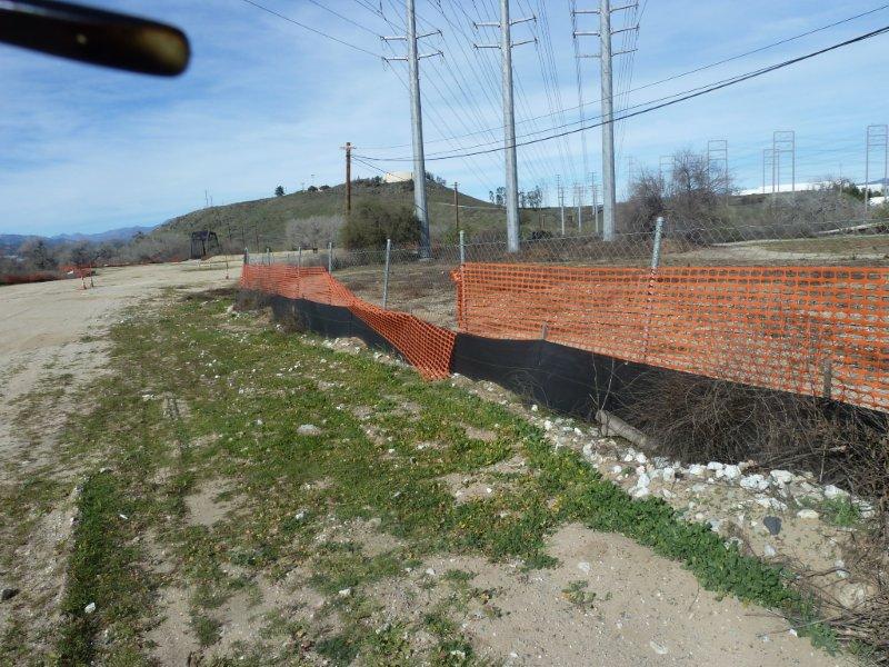 INVASIVE PLANTS WERE REMOVED