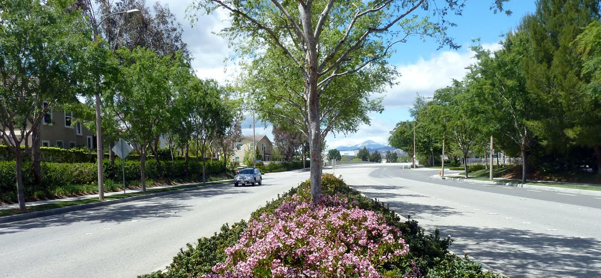 santa clarita median design guidelines pacific coast land median design