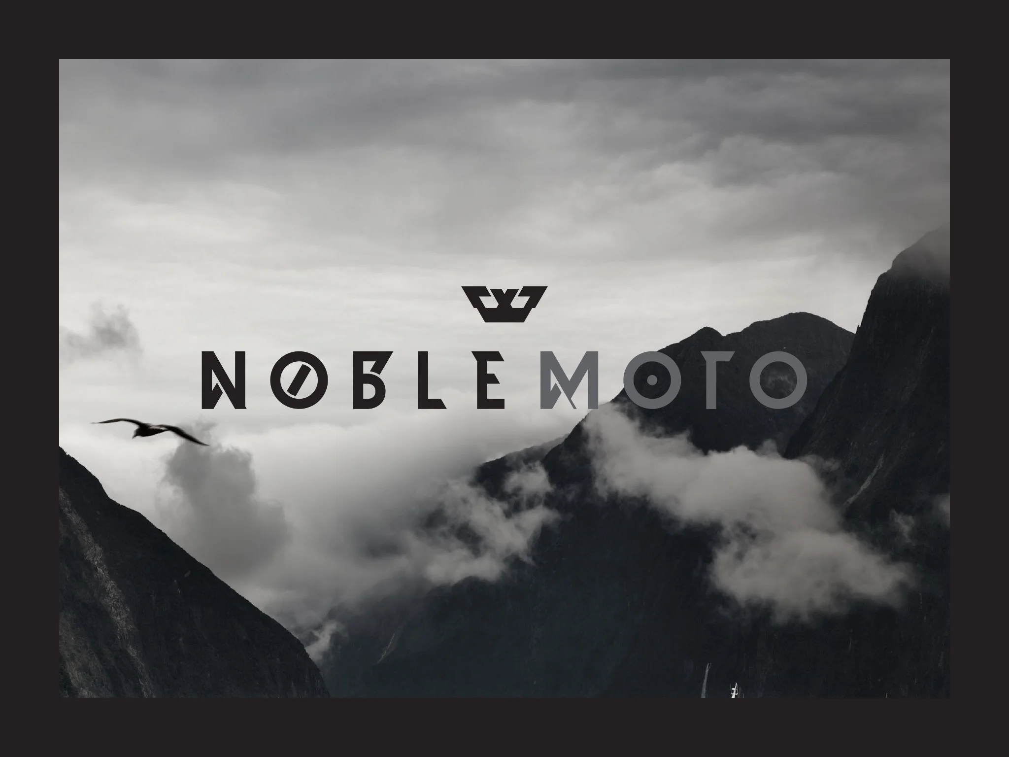 E-NMO.jpg