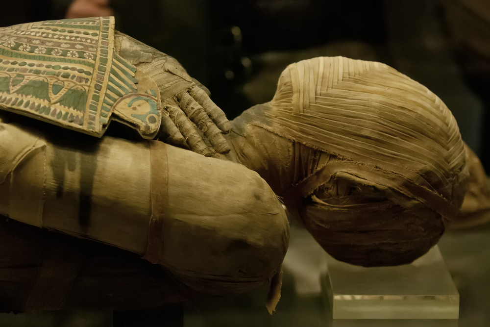 Amateur diggers don't need to find anything as dramatic as this ancient Egyptian mummy (courtesy of Shutterstock). A few scarabs or statuettes will do.&nbsp;