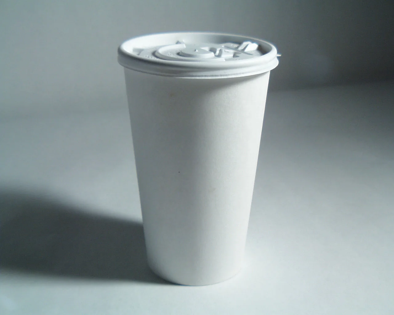 Take-away Dummi™ by GEiR