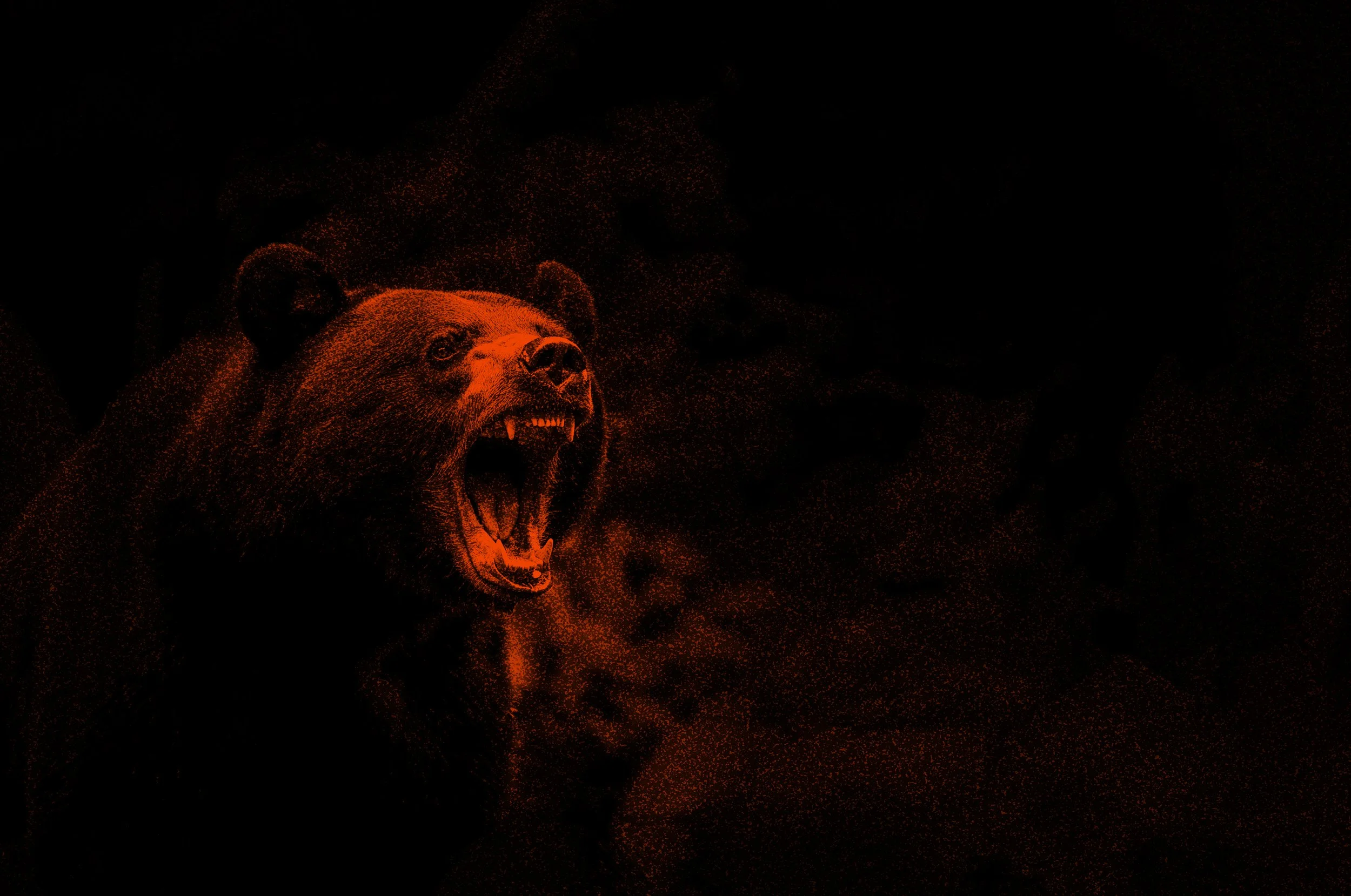 Osos Bear HR2 copy.jpg