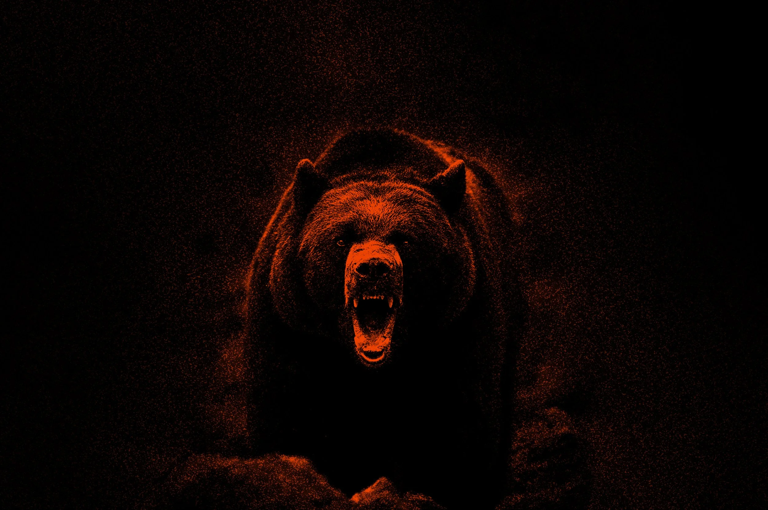 Osos Bear HR3.jpg