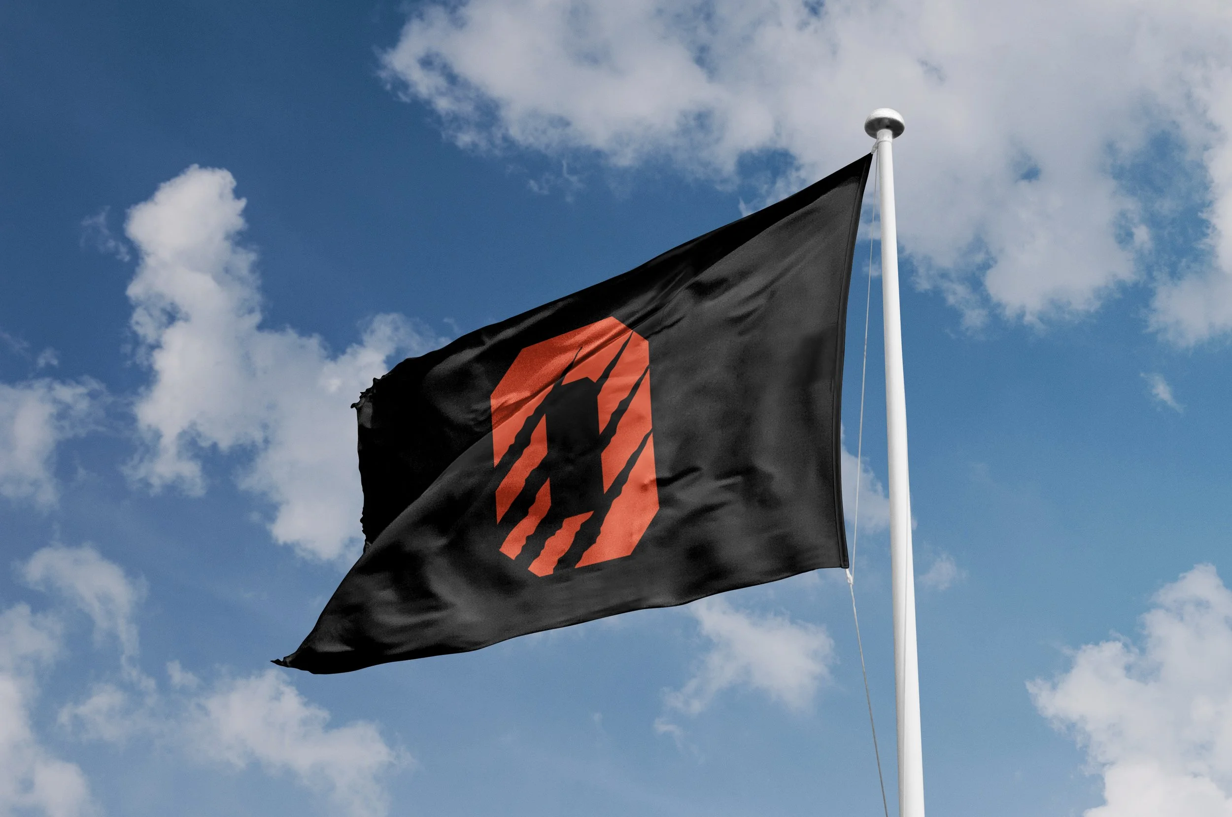 OSOS flag hero.jpg