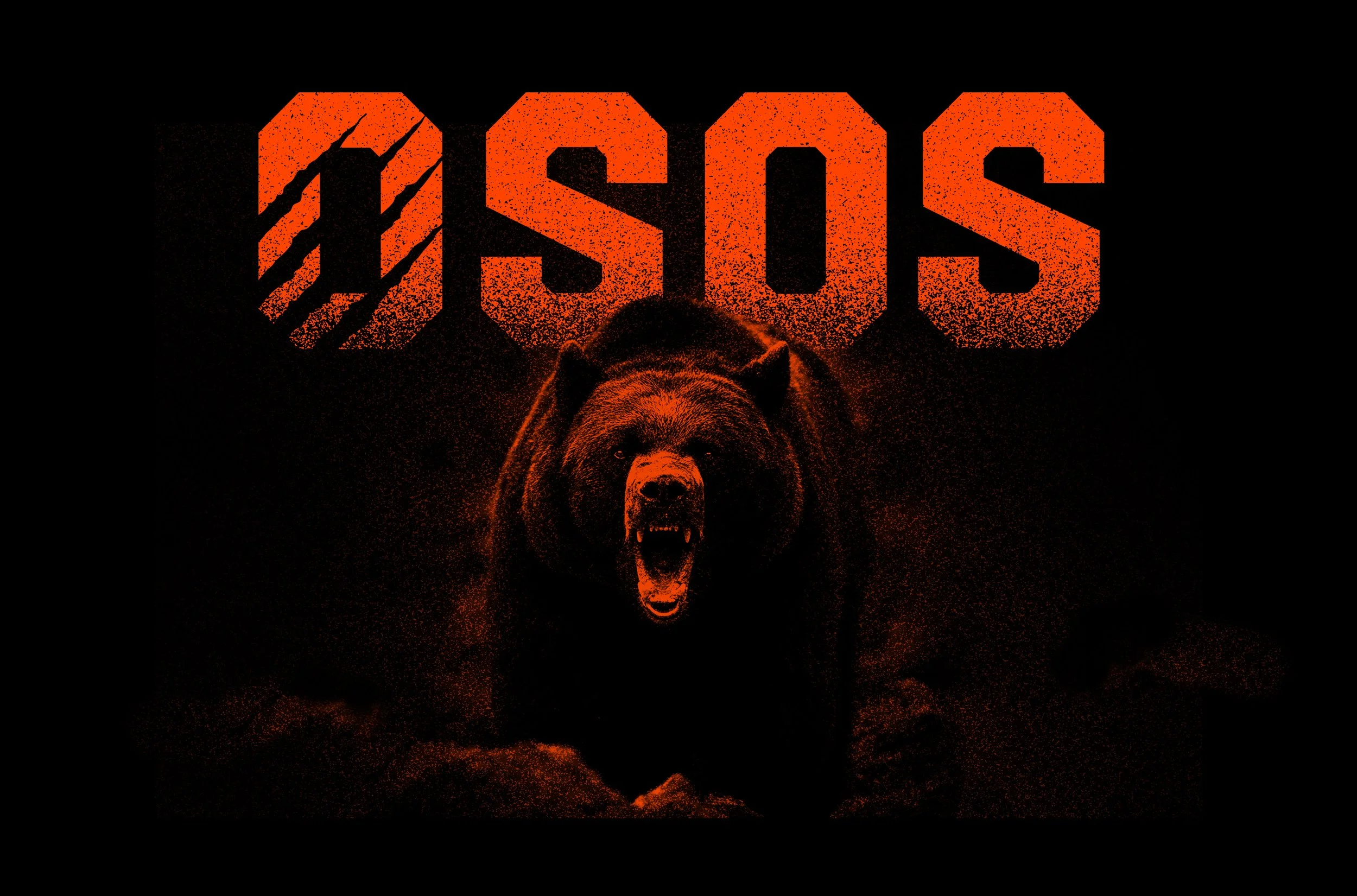 TO POST_MO bear graphic.jpg
