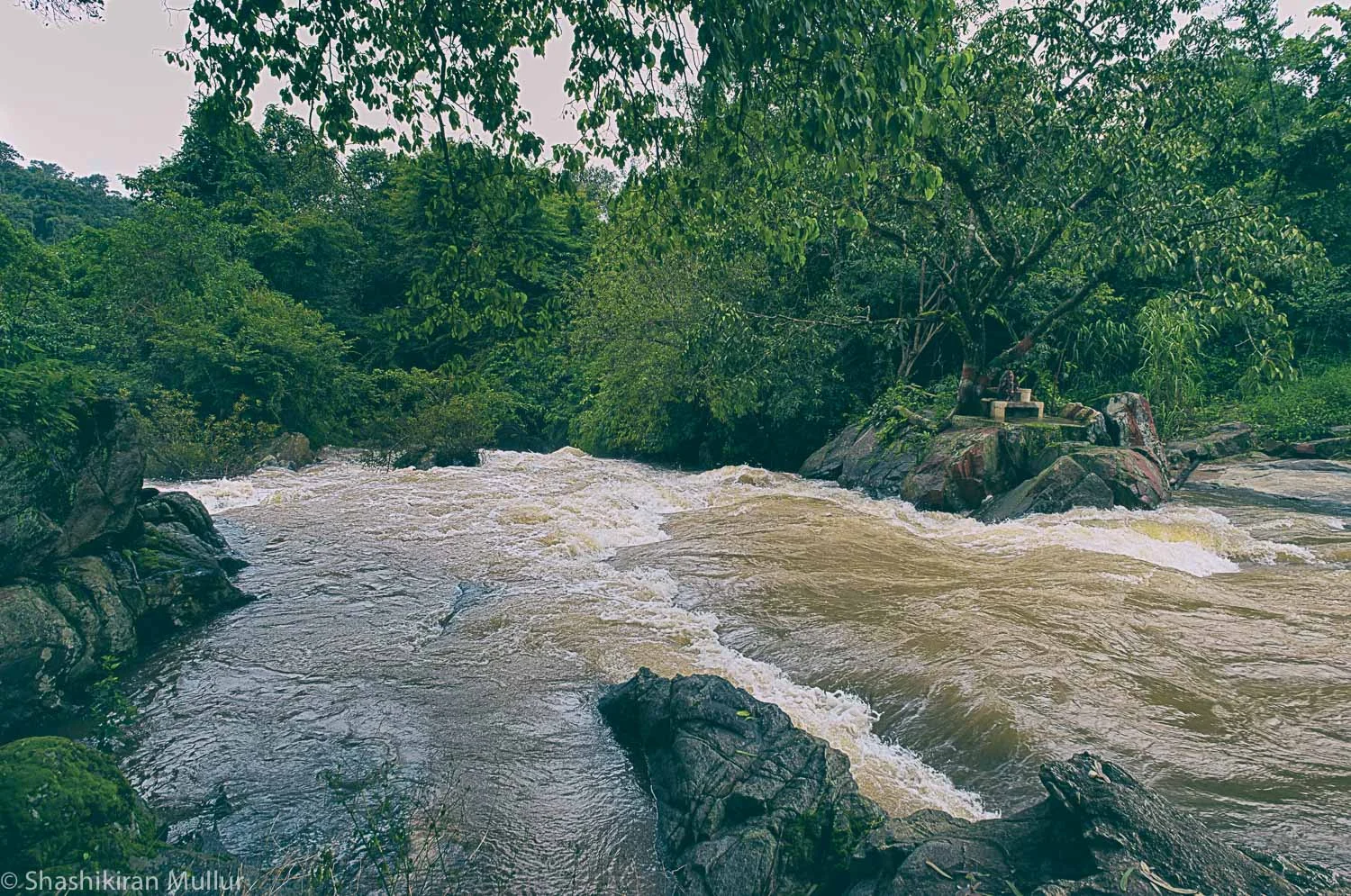 The speedy stream through a fellow-planter's estate