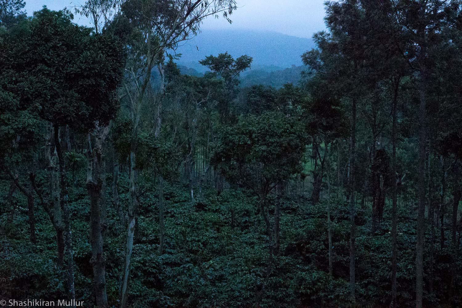 The view from Nandi Thota