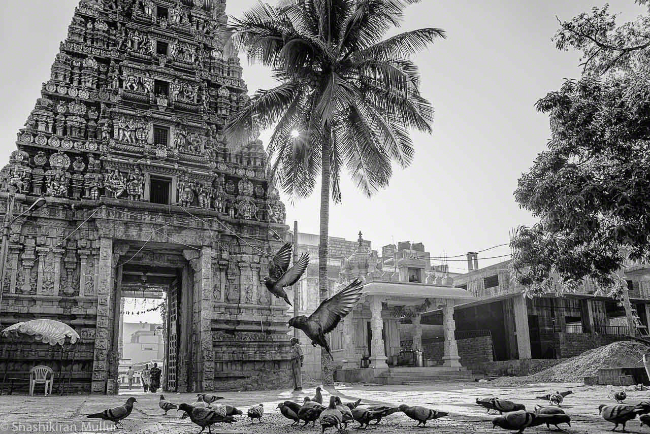 Halasuru Someshwara Temple, Bangalore