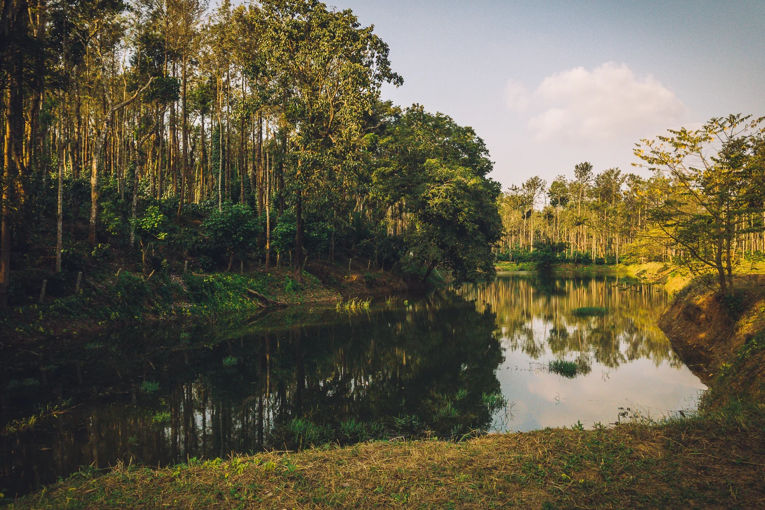 Thotadakere