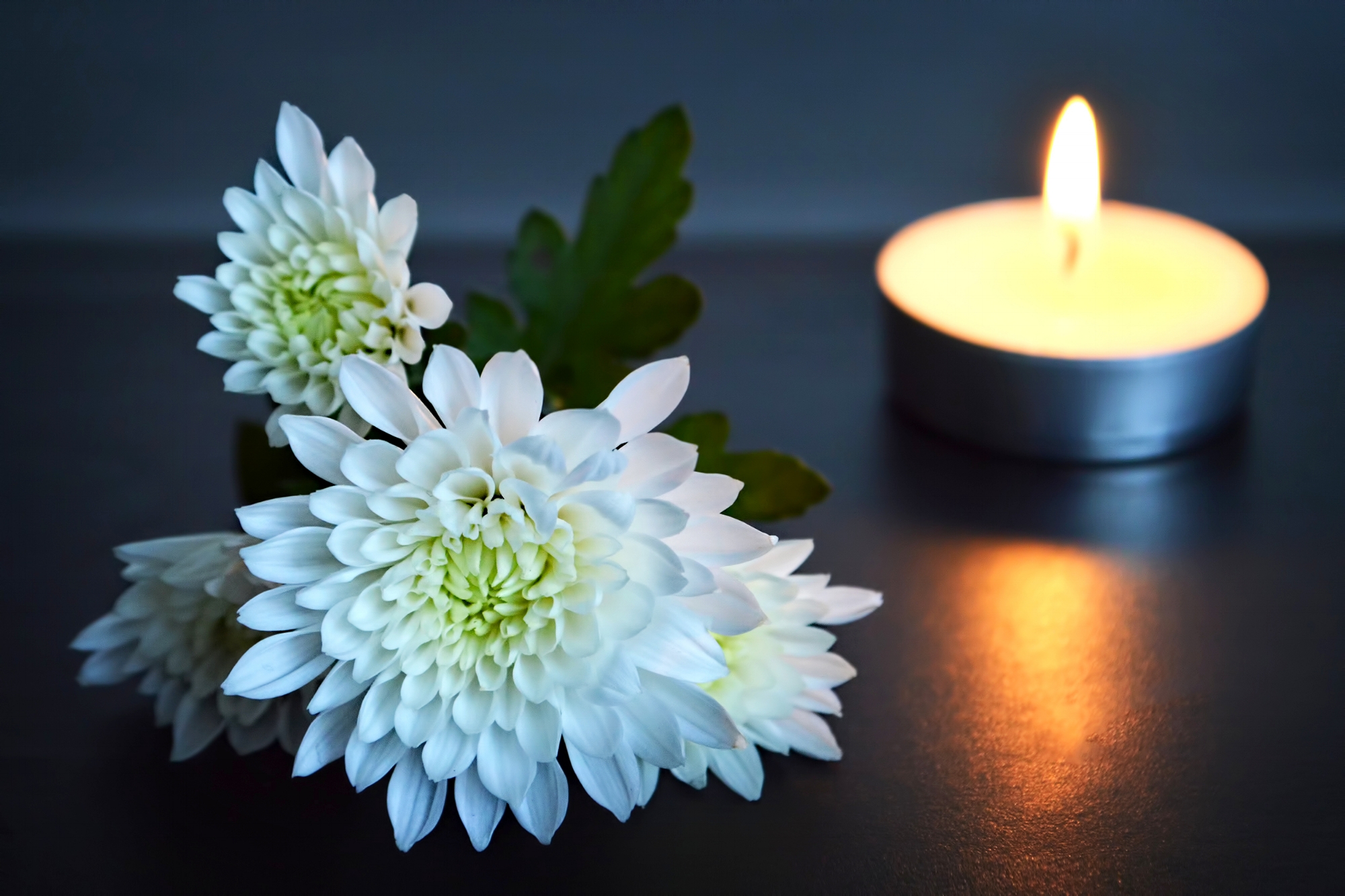 Photo by izzzy71/iStock / Getty Images