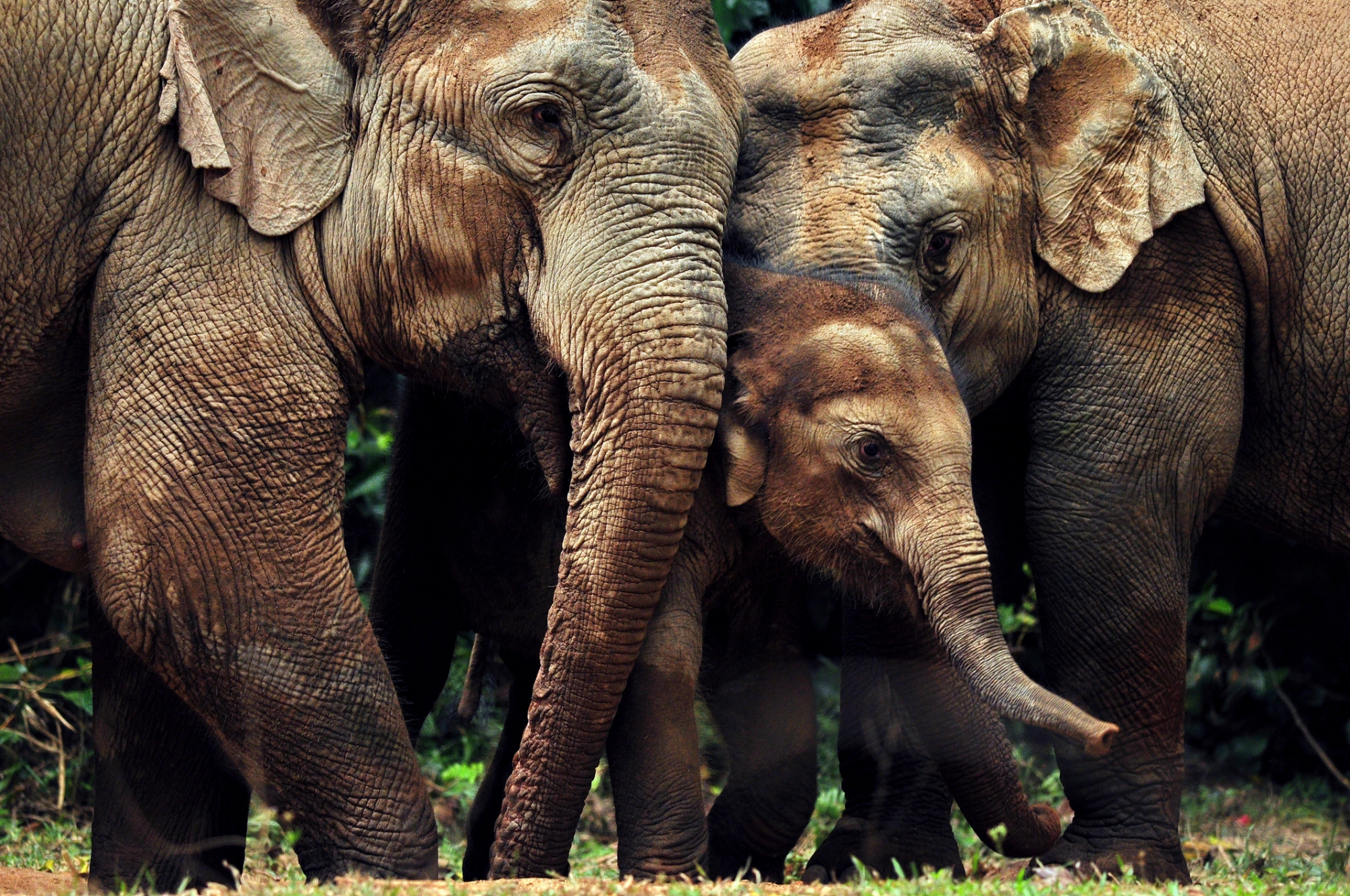 Photo by suriya007/iStock / Getty Images