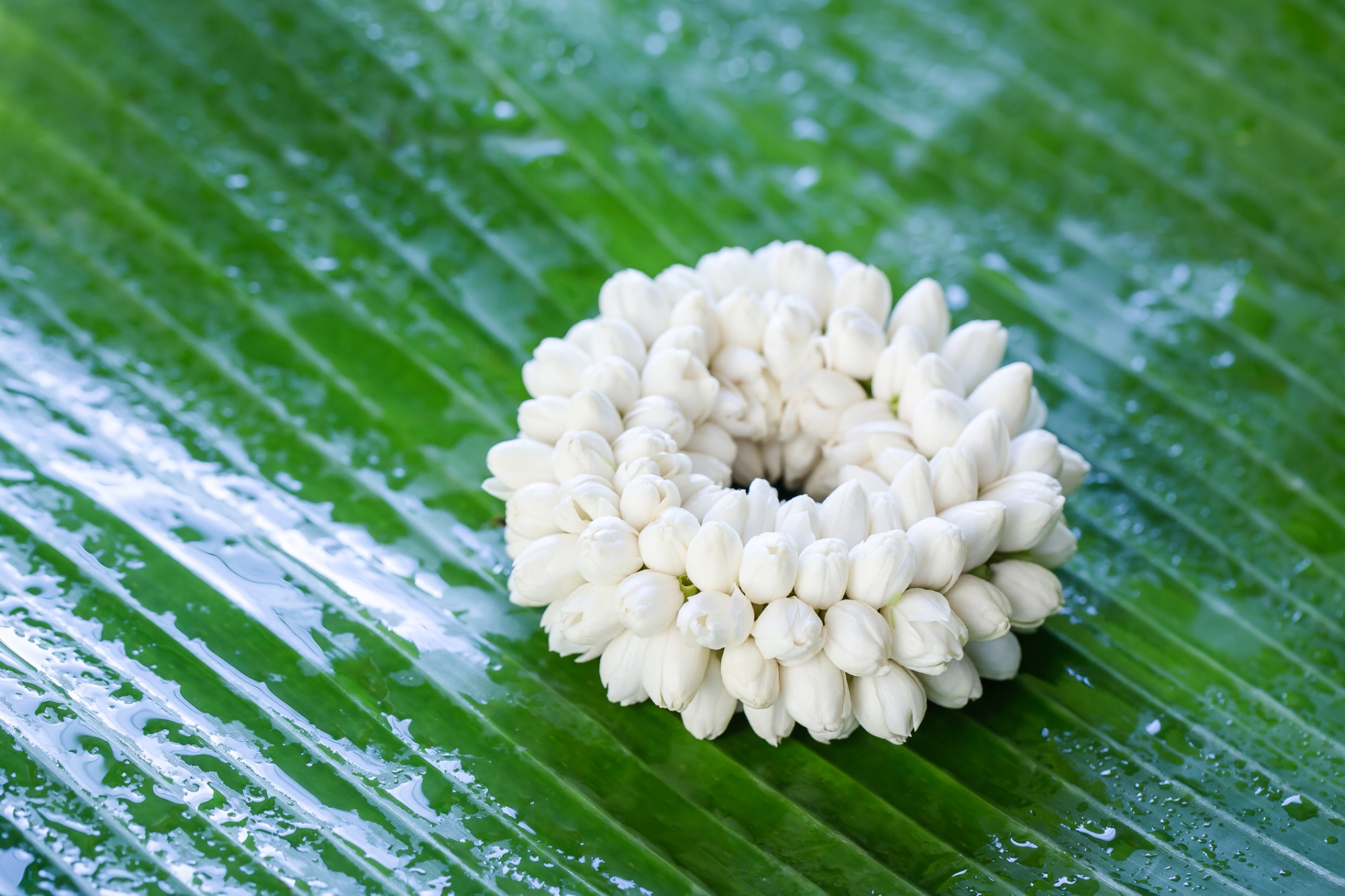 Photo by Pattanawit/iStock / Getty Images