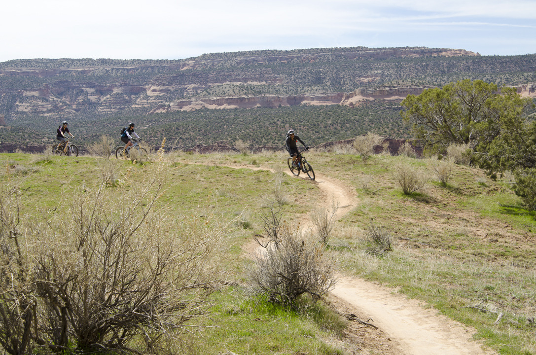 cyc_utahfruita151.jpg