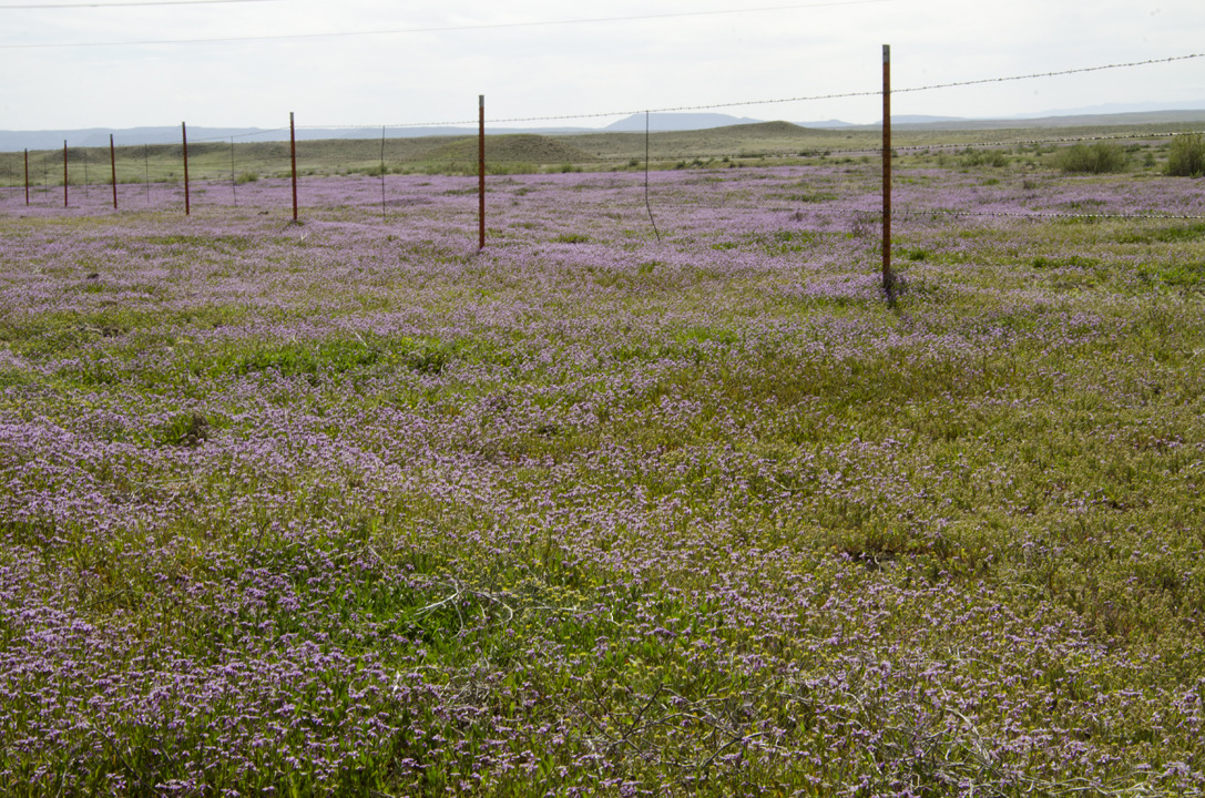 cyc_utahfruita185.jpg