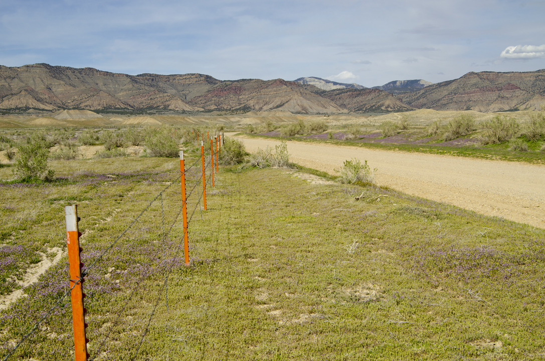 cyc_utahfruita187.jpg