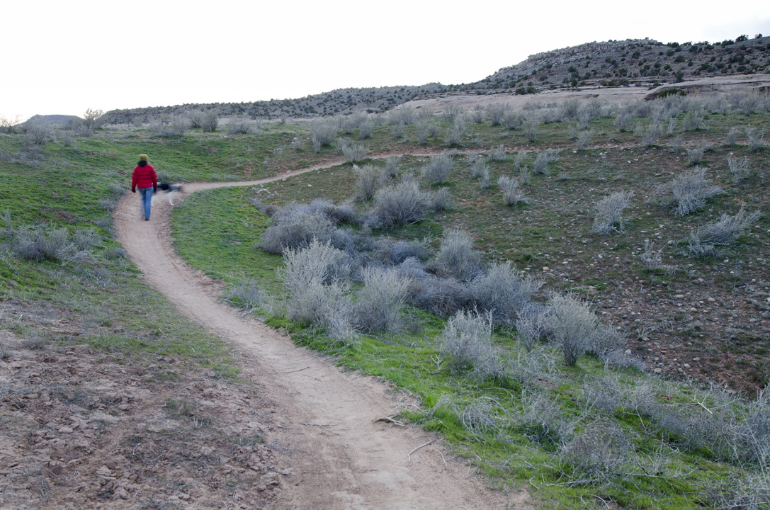 cyc_utahfruita131.jpg