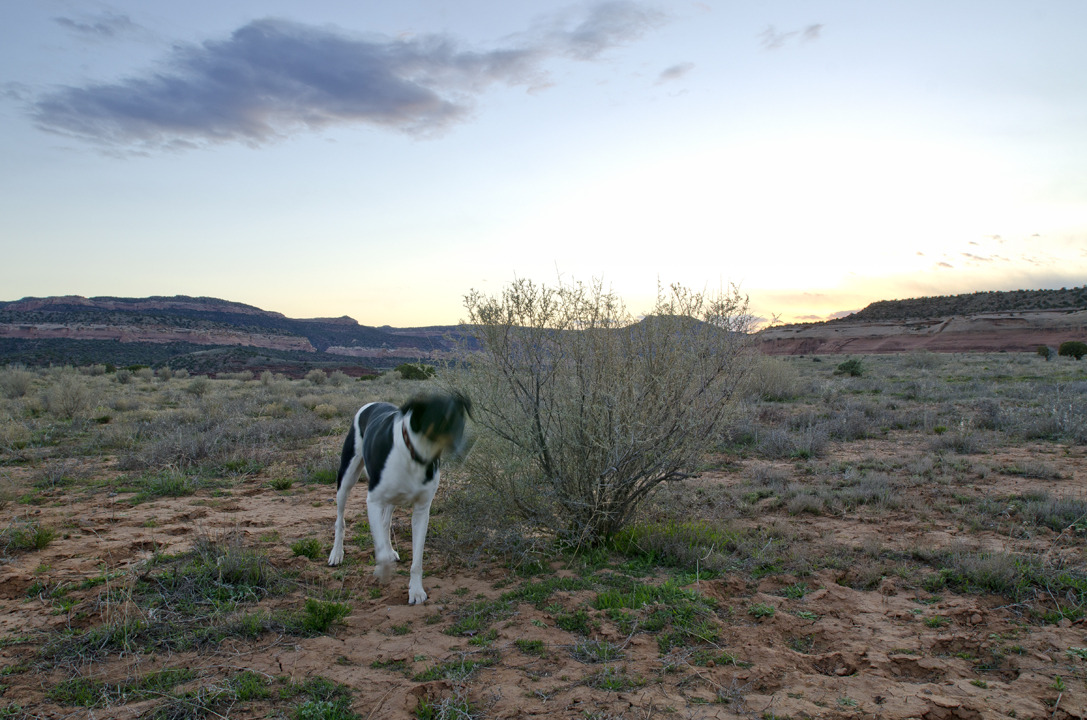 cyc_utahfruita130.jpg