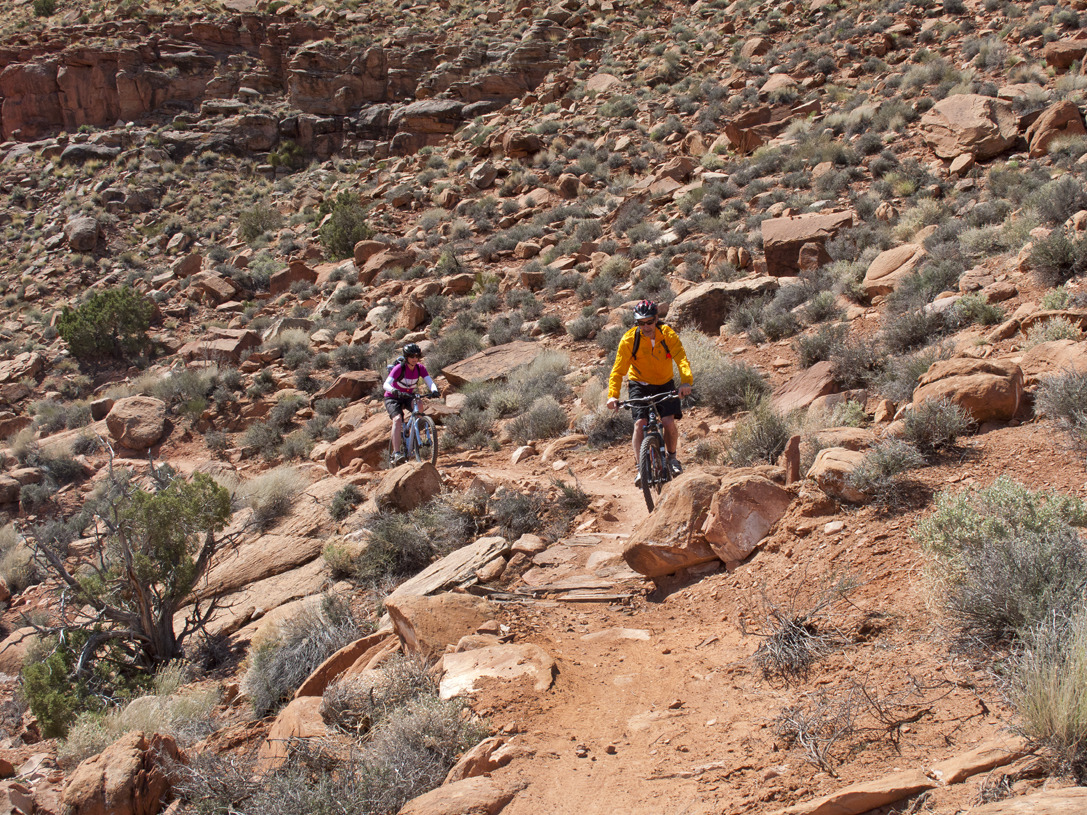 cyc_utahfruita071.jpg