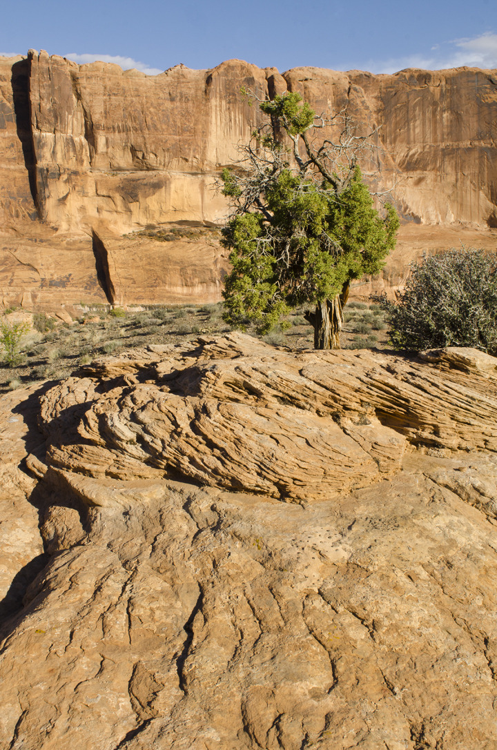 cyc_utahfruita069.jpg
