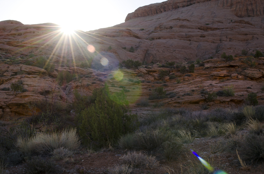 cyc_utahfruita052.jpg