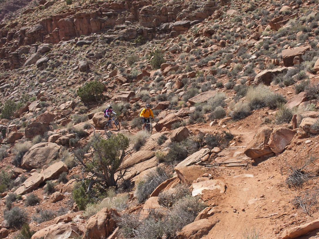 cyc_utahfruita070.jpg