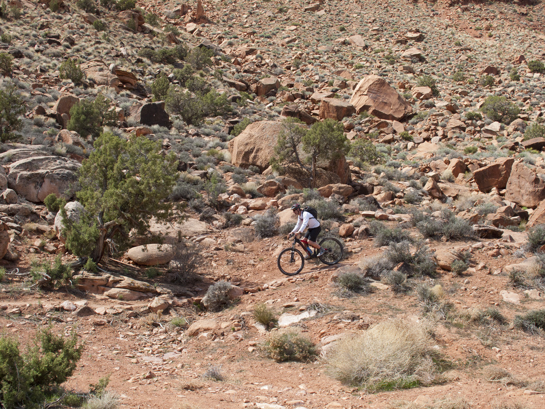cyc_utahfruita074.jpg