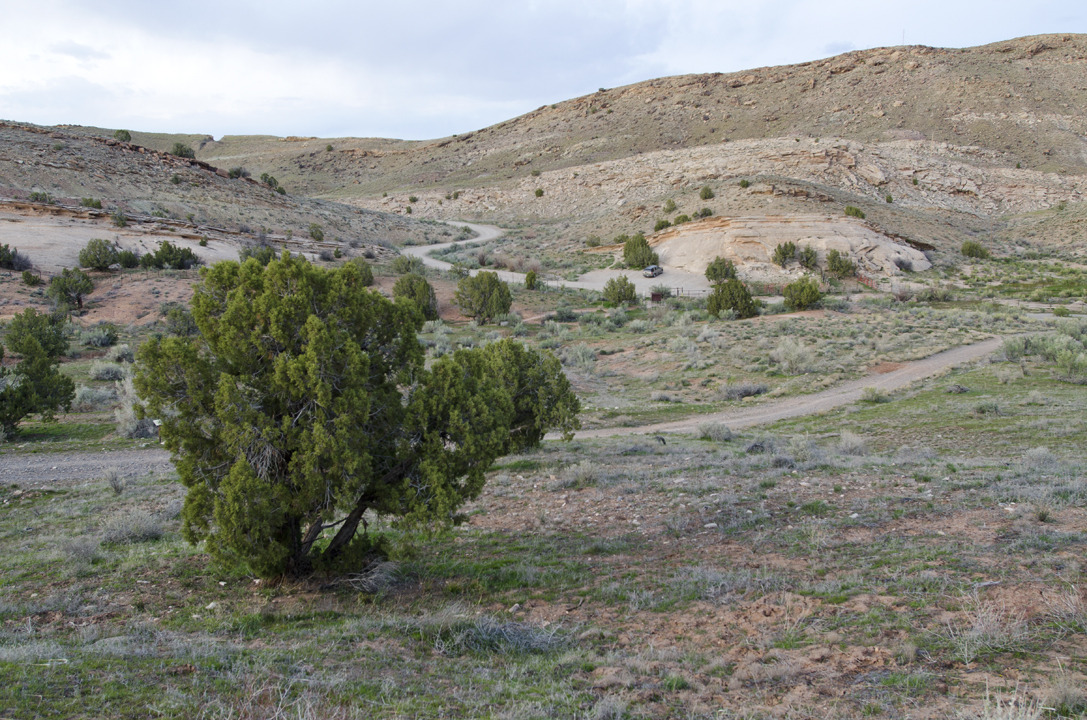 cyc_utahfruita138.jpg