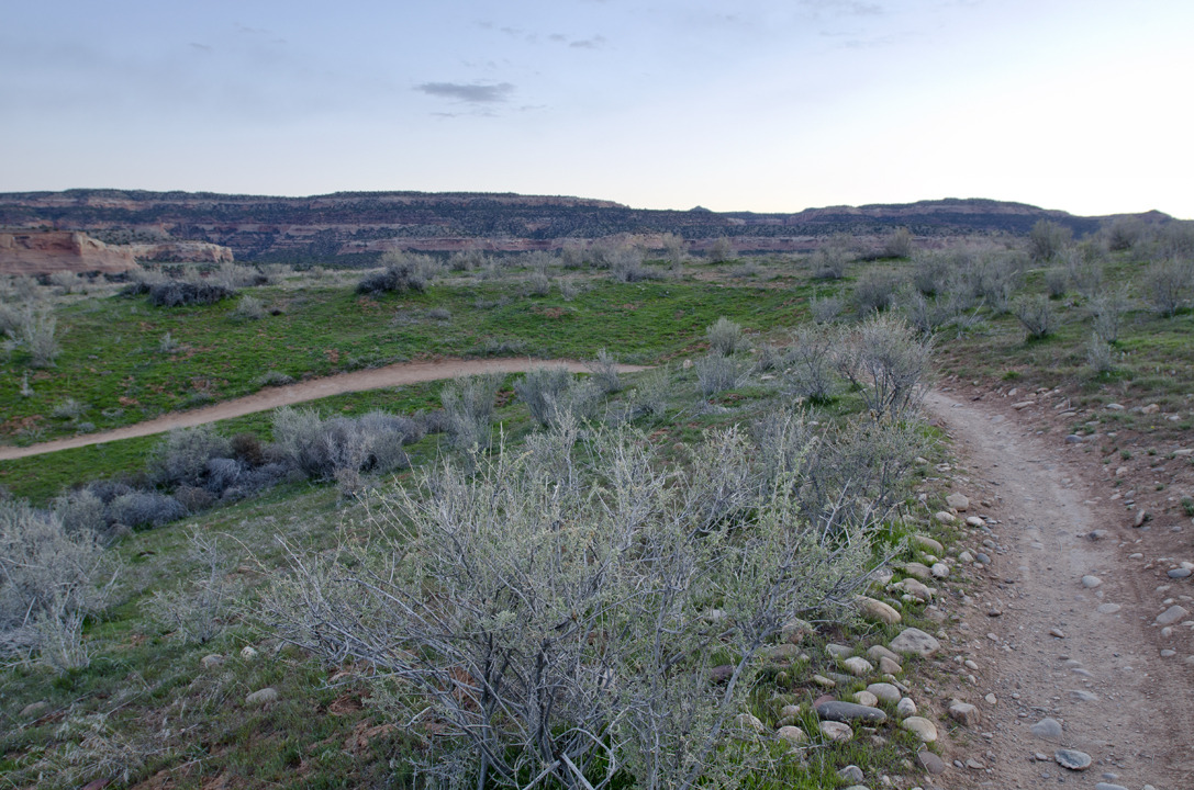 cyc_utahfruita132.jpg