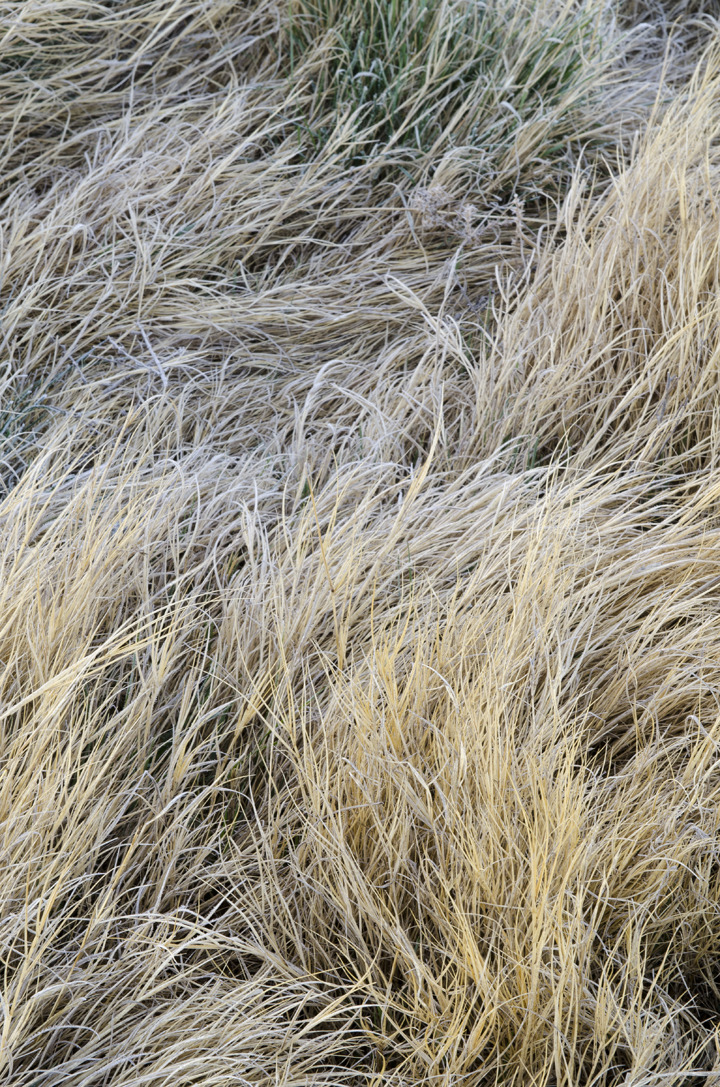 cyc_utahfruita176.jpg