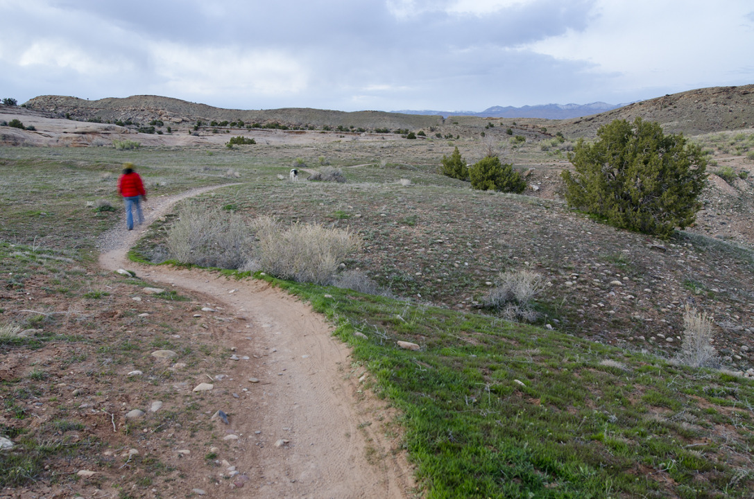 cyc_utahfruita133.jpg