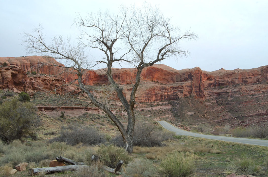 cyc_utahfruita076.jpg