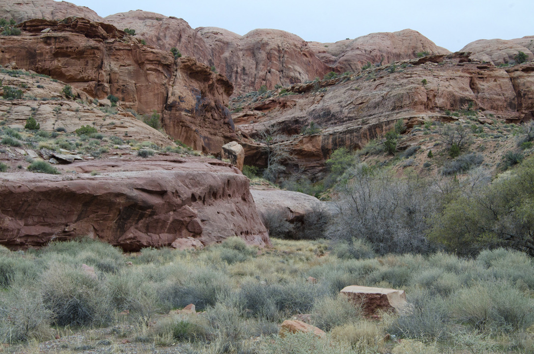 cyc_utahfruita077.jpg