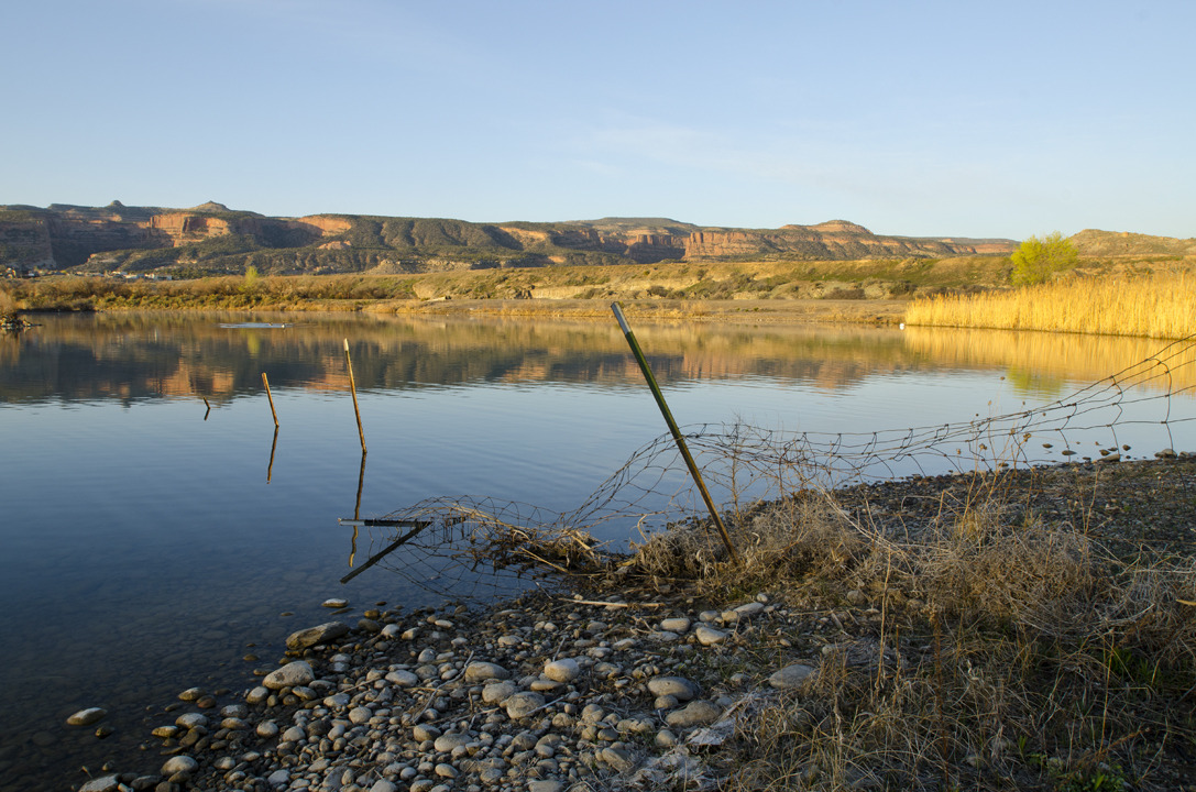 cyc_utahfruita196.jpg