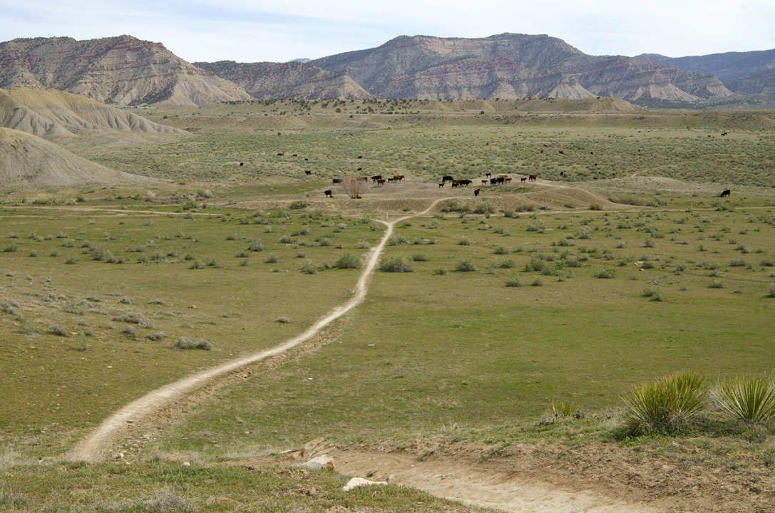 cyc_utahfruita207.jpg