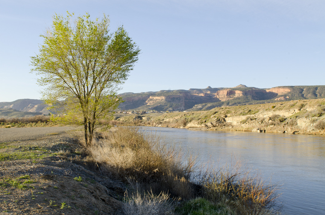 cyc_utahfruita205.jpg