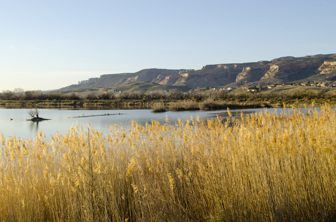 cyc_utahfruita204.jpg