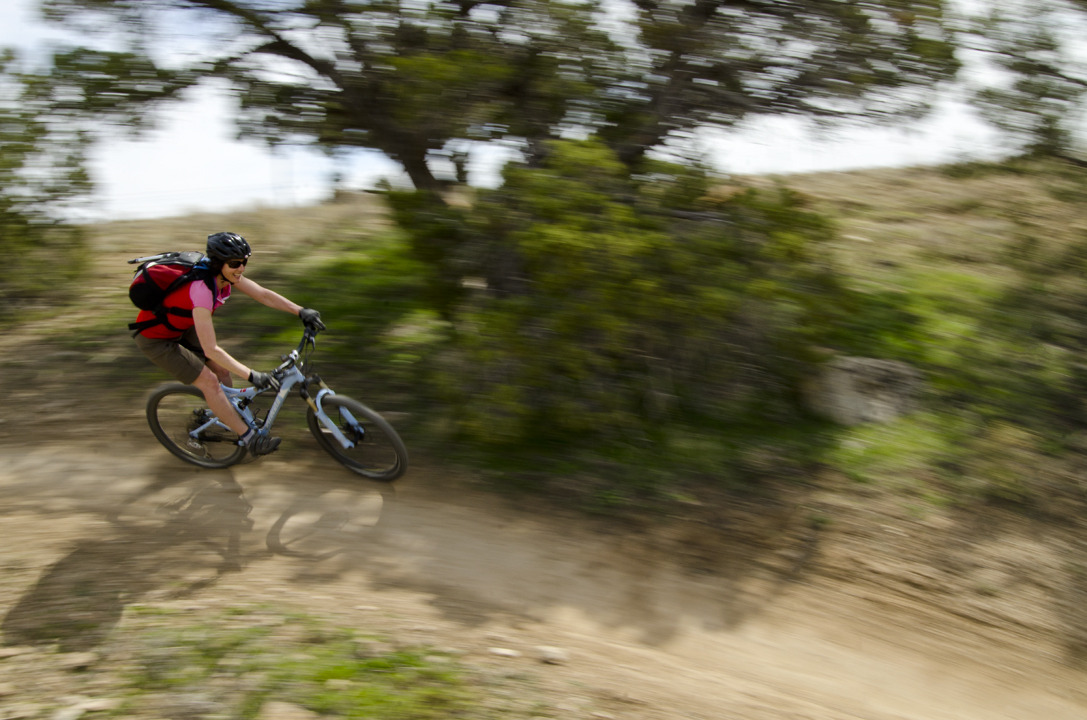 cyc_utahfruita221.jpg