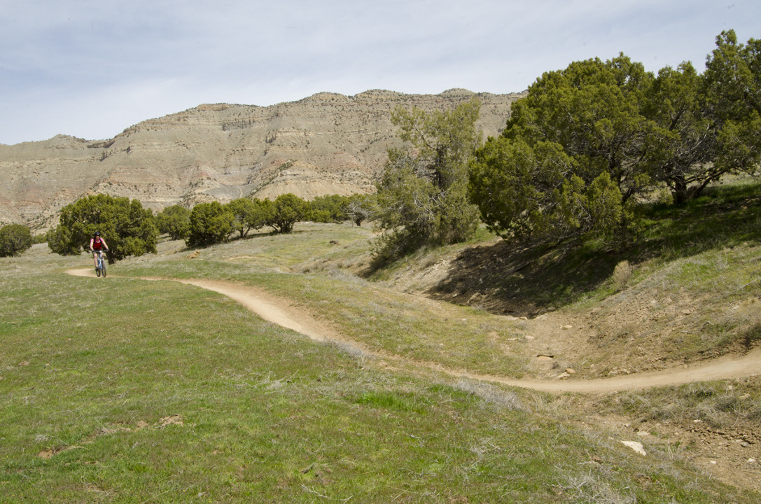 cyc_utahfruita217.jpg