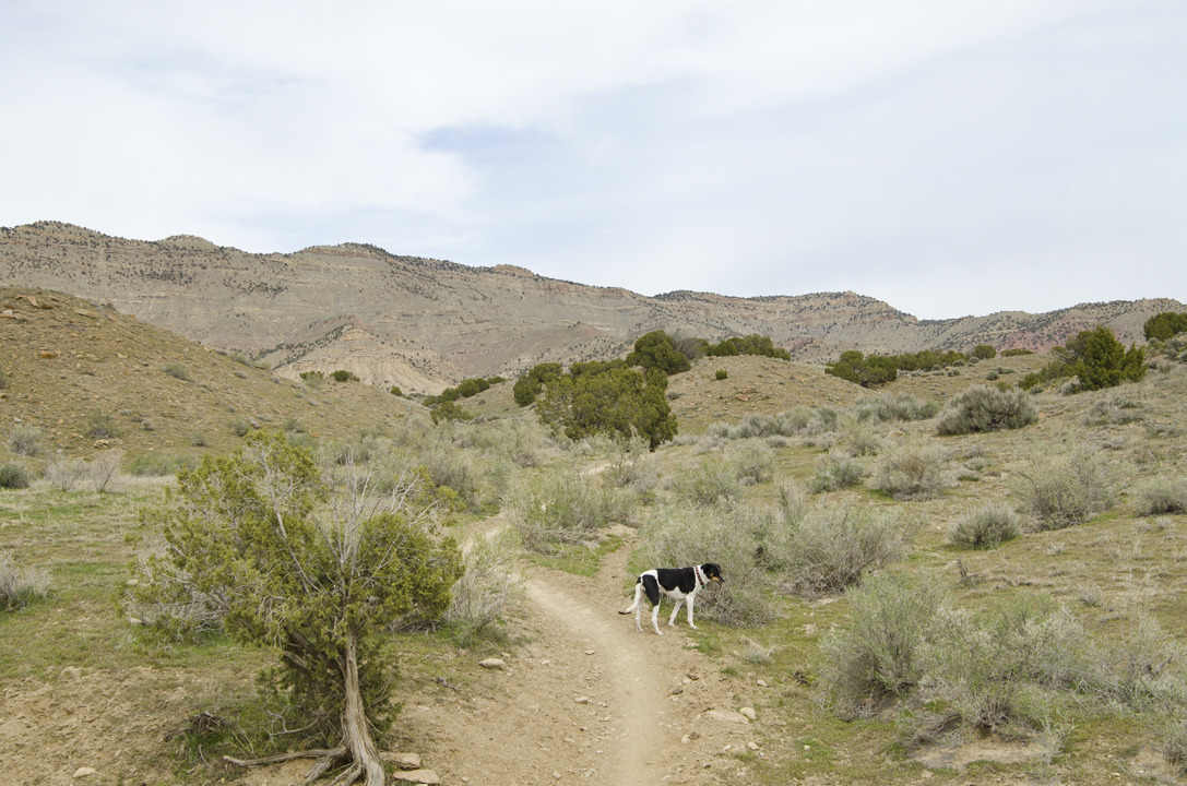 cyc_utahfruita179.jpg