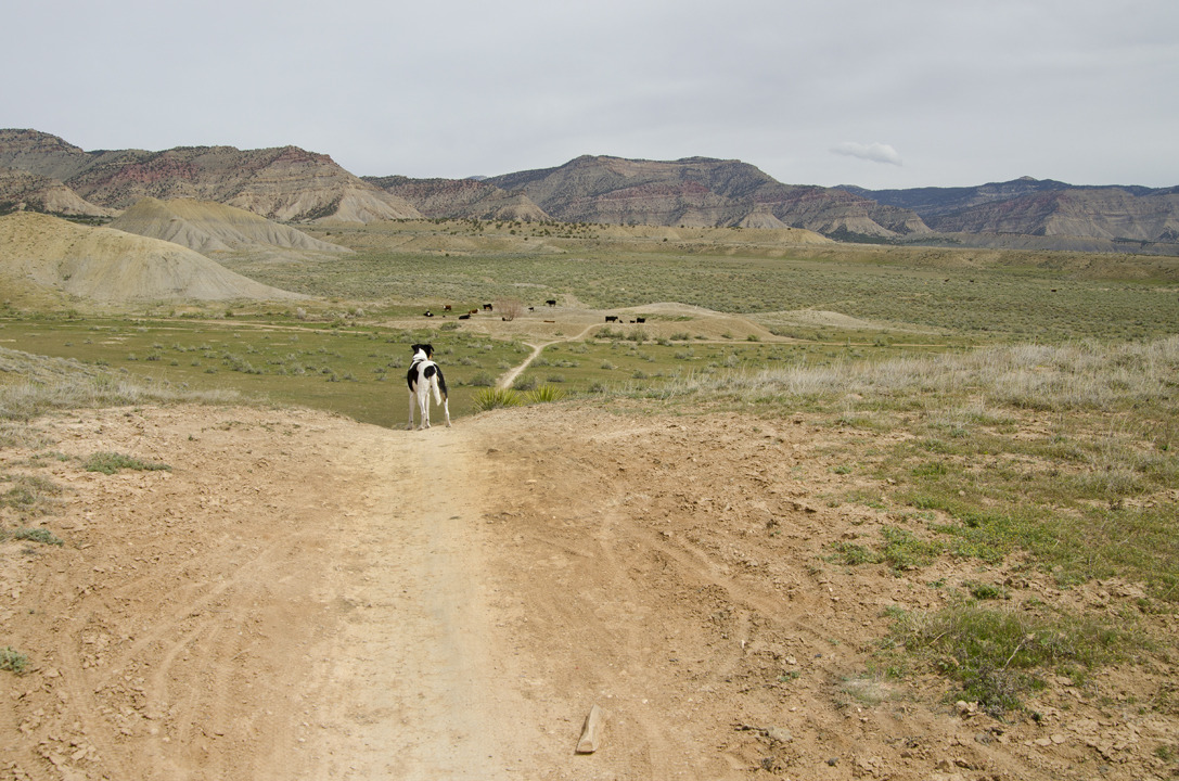 cyc_utahfruita178.jpg