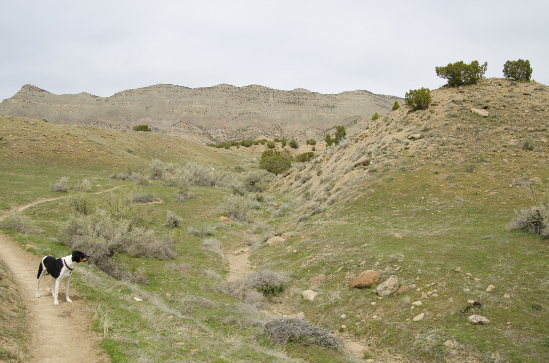 cyc_utahfruita181.jpg