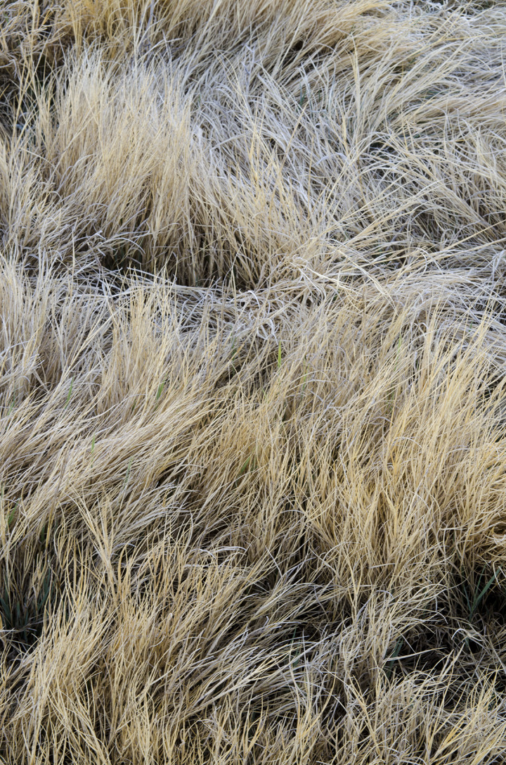 cyc_utahfruita177.jpg