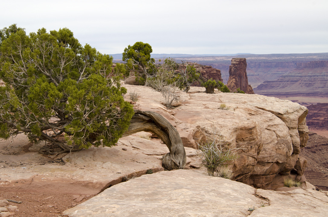 cyc_utahfruita067.jpg